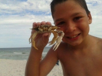 Seth & Crab